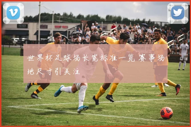 世界杯足球场长宽标准一览 赛事场地尺寸引关注