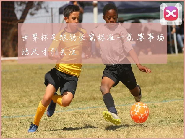 世界杯足球场长宽标准一览 赛事场地尺寸引关注