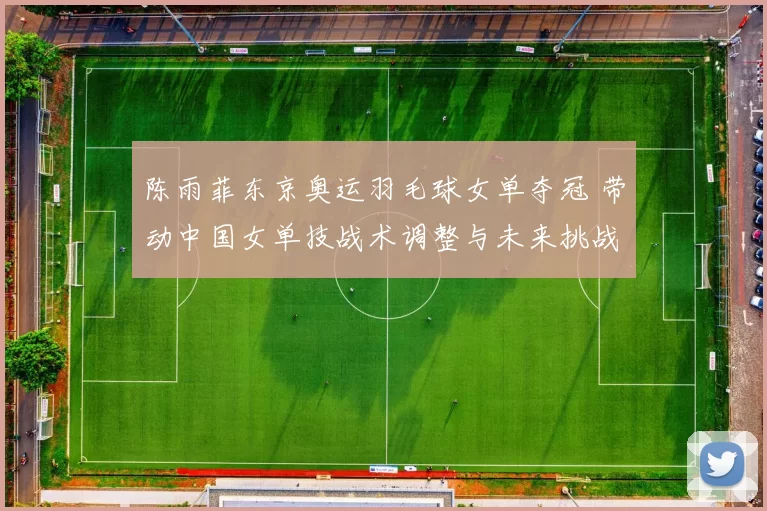 陈雨菲东京奥运羽毛球女单夺冠 带动中国女单技战术调整与未来挑战