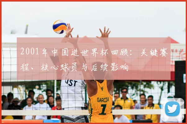 2001年中国进世界杯回顾：关键赛程、核心球员与后续影响